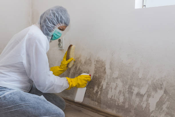 Best Water Damage Restoration  in Port Edwards, WI
