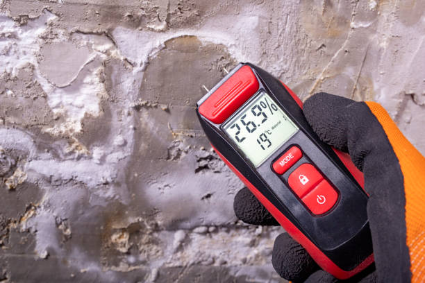 Best Affordable Mold Removal  in Port Edwards, WI