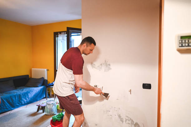 Best Attic Mold Removal  in Port Edwards, WI