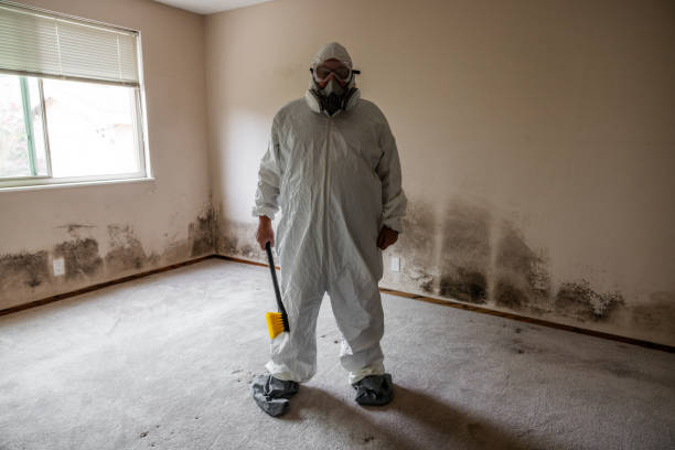 Best Mold Removal Company Near Me  in Port Edwards, WI